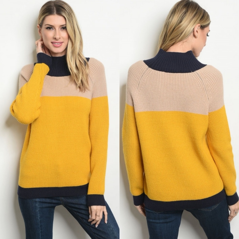 Mock neck colorblock thick knit sweater